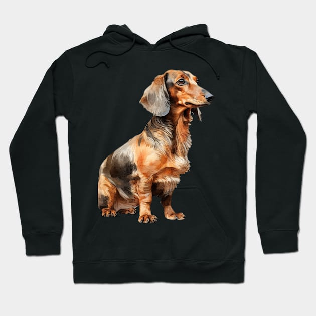 Dachshund Hoodie by DavidBriotArt